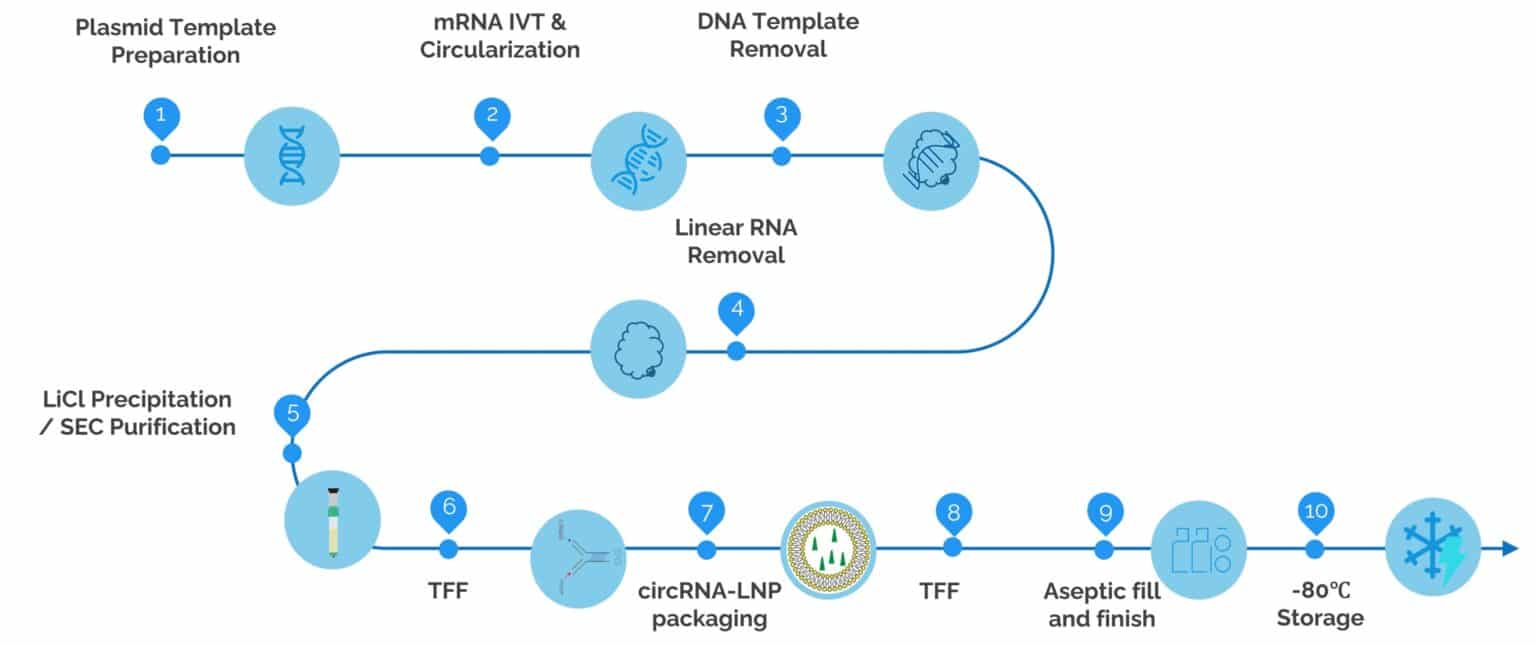 GMP circRNA-LNP Manufacturing | uBriGene