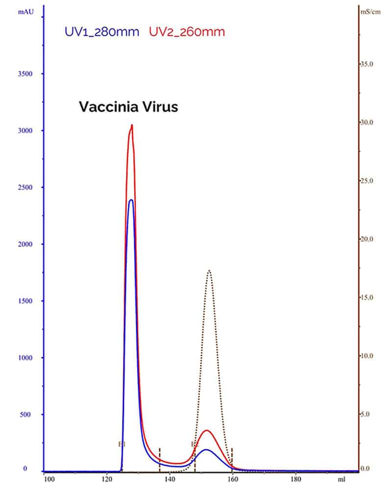 Chromatographic purification plot depicting the high-quality vaccinia produced.