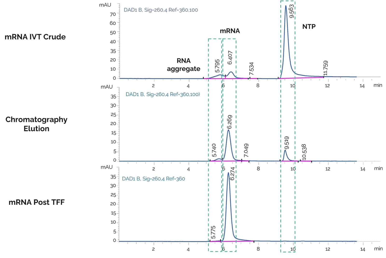 SEC HPLC analysis of mRNA after in vitro transcription.